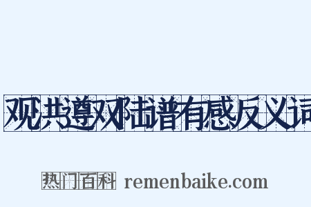 观洪遵双陆谱有感反义词是什么意思的图片